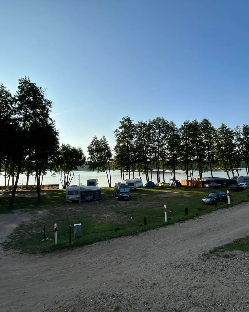 Kampery między drzewami o zmierzchu